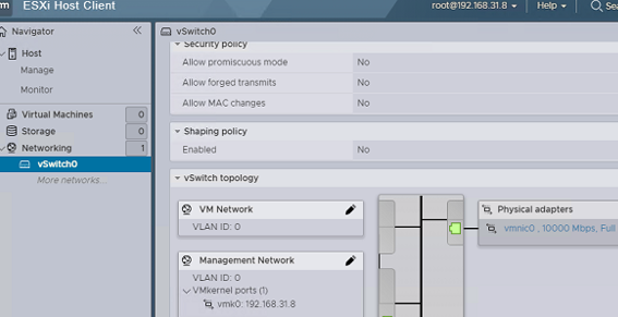 esxi networking vswitch0